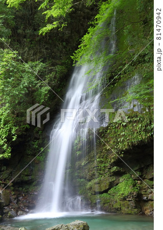 祖谷の琵琶の滝 祖谷の琵琶の滝 81470942