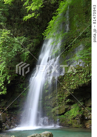 祖谷の琵琶の滝 祖谷の琵琶の滝 81470943