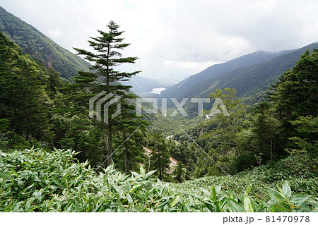 群馬県栃木県　県境　金精峠から湯ノ湖方面を見る 81470978