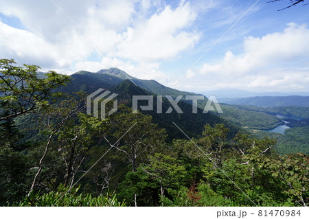 群馬県栃木県　県境　金精峠から温泉ケ岳への登山道から　正面に日光白根山　右に菅沼が見える 81470984