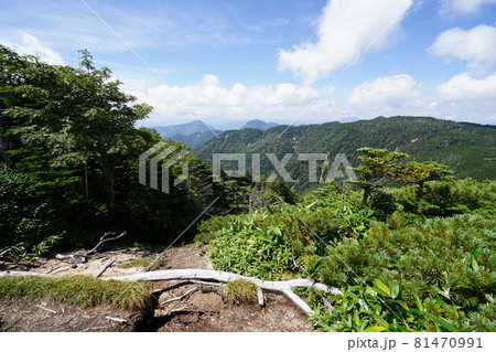 群馬県栃木県　県境　ぐんま百名山　温泉ケ岳　山頂から根名草山方面　 81470991