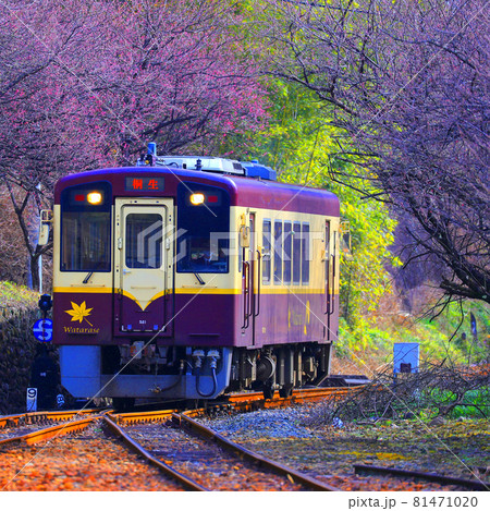 ローカル線の春 81471020