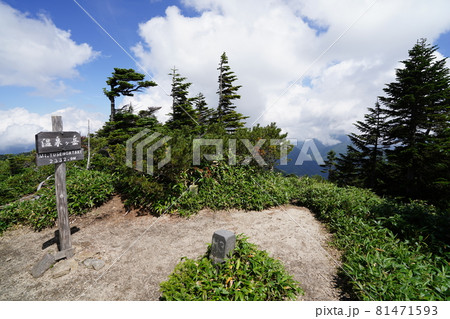 群馬県栃木県　県境　ぐんま百名山　温泉ケ岳山頂 81471593