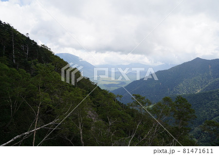 群馬県栃木県　県境　ぐんま百名山　温泉ケ岳登山道から湯元方面を見る 81471611