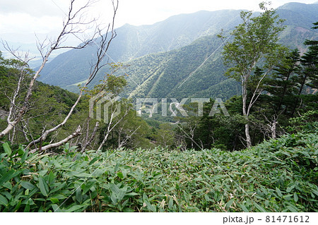 群馬県栃木県　県境　ぐんま百名山　温泉ケ岳登山道から湯元方面　国道120号方面を見る 81471612