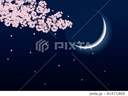 満開から散り始めた夜桜と三日月のベクターイラスト 81471869