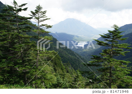 群馬県栃木県　県境　　金精峠から湯元方面を見る 81471946