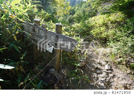 群馬県栃木県　県境　　金精トンネル入り口の登山道から金精峠に登る登山道にあった標識 81471950