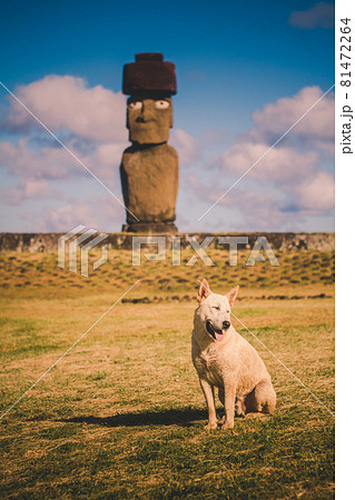 Moai at Ahu Tongariki, Easter island, Chile. Moai at Ahu Tongariki, Easter island, Chile. 81472264