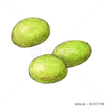 枝豆3粒 手描きアナログイラストのイラスト素材
