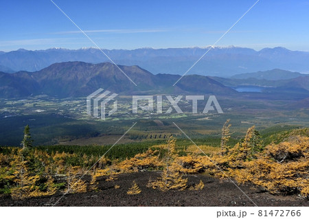 富士山五合目お中道の御庭周辺の紅葉のカラマツ林と南アルプス 富士山五合目お中道の御庭周辺の紅葉のカラマツ林と南アルプス 81472766