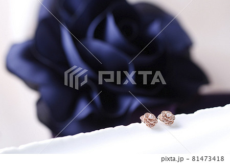 石 リング カボチャ 81473418