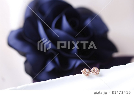 ダイヤモンド ファッション 石 81473419