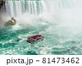 Niagara falls in summer, Ontario, Canada 81473462