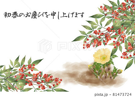 南天と福寿草の年賀状のイラスト素材