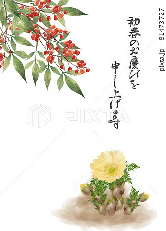 日本で買縁起の良い図柄　　　　作者不詳　　軸　　「南天福壽草」 山水、風月
