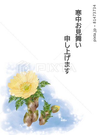 雪と福寿草 寒中見舞いはがき 雪と福寿草 寒中見舞いはがき 81473734