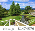 緑の風景　木 81474579