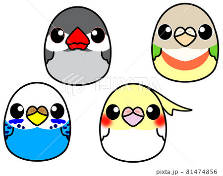 たまご鳥 たまご鳥 81474856