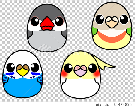 Egg bird 81474856
