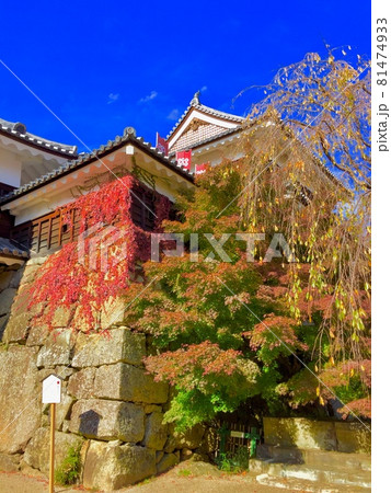 上田城の秋 上田城の秋 81474933