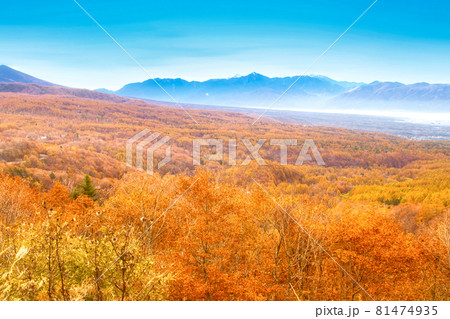 蓼科高原の秋 81474935