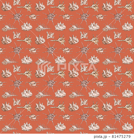 Watercolor digital illustration seamless pattern of seashells from brown marine life on a orange 81475279