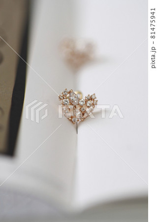 アクセサリー カボチャ ズッキーニ 81475941