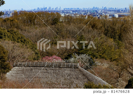 【東京都】百草園展望台からの眺望 【東京都】百草園展望台からの眺望 81476628