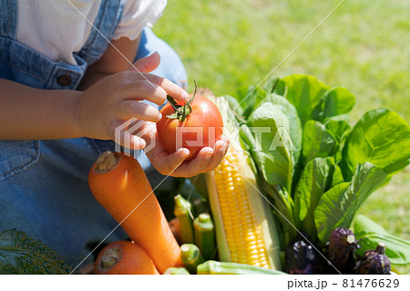 野菜　子ども　手元 81476629
