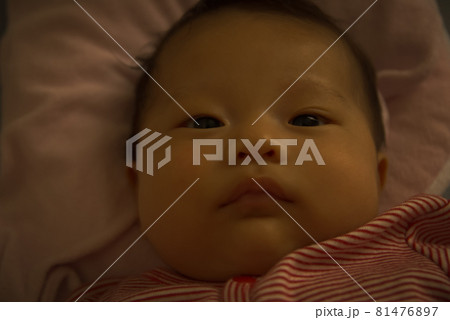 2 months old 2 months old 81476897