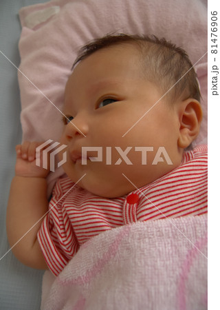 2 months old 81476906