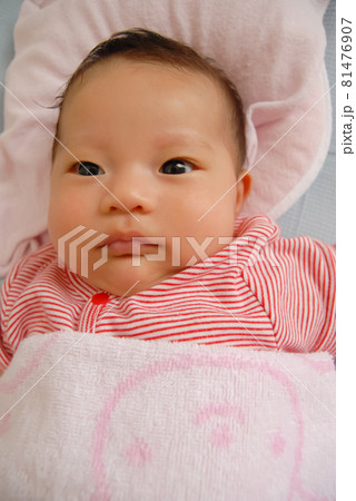 2 months old 2 months old 81476907