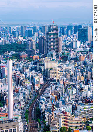 日本の東京都市景観 恵比寿ガーデンプレイスタワーや恵比寿駅、電車などを望む 日本の東京都市景観 恵比寿ガーデンプレイスタワーや恵比寿駅、電車などを望む 81477263