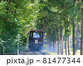 森の中の鉄道 81477344