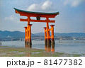 厳島神社 鳥居 81477382