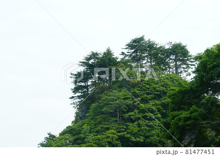 蓬莱山 81477451