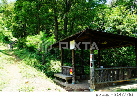 栃木　太平山ハイキングコース　桜峠の東屋 81477763