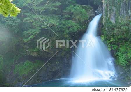 河津七滝 河津七滝 81477922