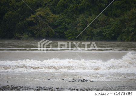 氾濫危険水位 氾濫危険水位 81478894