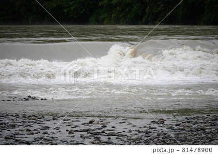 氾濫危険水位 氾濫危険水位 81478900