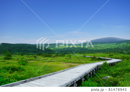 浄土平湿原と散策道(夏) 浄土平湿原と散策道(夏) 81478943
