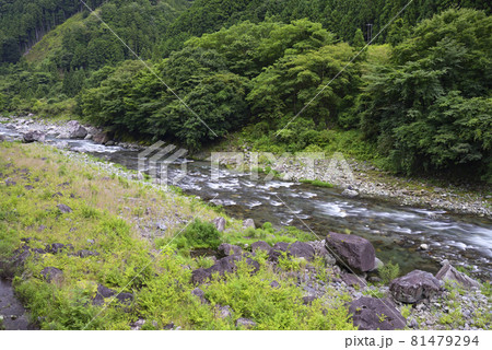蓮川(三重県松阪市) 蓮川(三重県松阪市) 81479294
