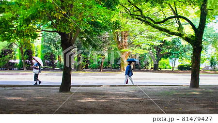 平和記念公園内の歩道を歩く人々の風景いです。 81479427