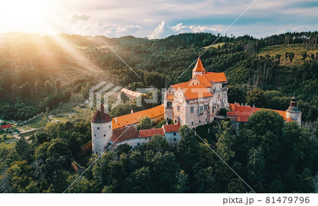 historical medieval castle Pernstejn, Czech Republic 81479796