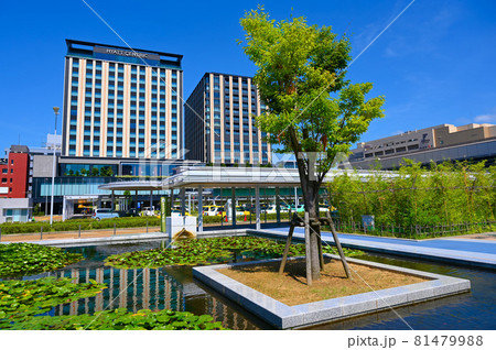 金沢駅　西口のビル群　金沢市 81479988
