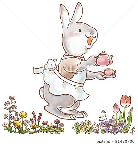 紅茶とうさぎ 紅茶とうさぎ 81480700