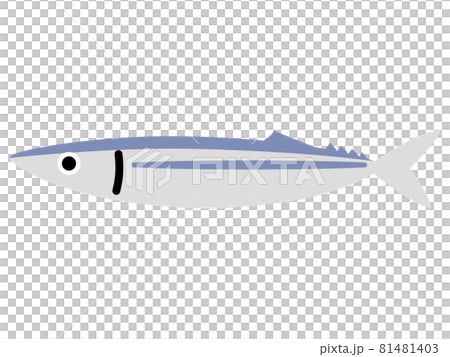 簡單的秋刀魚（魚） 81481403