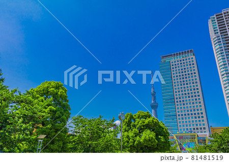 【東京の都市風景】東京スカイツリーと都市風景(錦糸公園) 【東京の都市風景】東京スカイツリーと都市風景(錦糸公園) 81481519