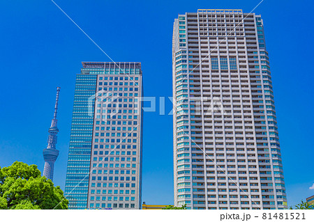 【東京の都市風景】東京スカイツリーと都市風景(錦糸公園) 【東京の都市風景】東京スカイツリーと都市風景(錦糸公園) 81481521